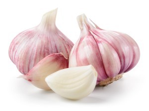 AGLIO SPUSO